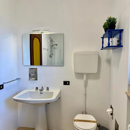 Rosa * Домодоссола