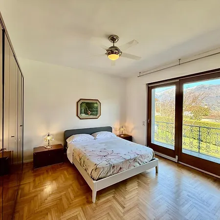 Rosa Домодоссола